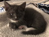 Smudge