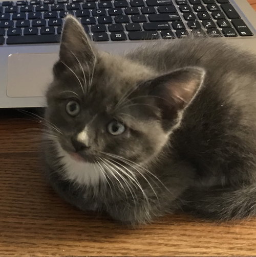 Smudge