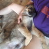 Teddy