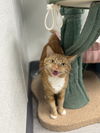 Maisy- Must Apply in Person