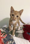Maisy- Must Apply in Person