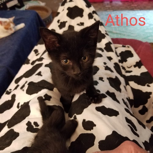 Athos