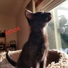 Athos