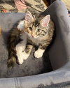Winnie