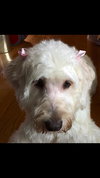 Annie Stone