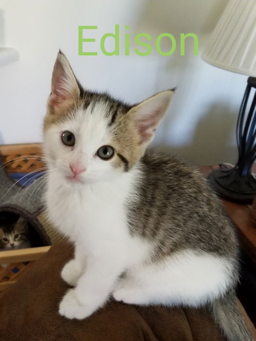 Edison