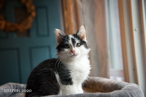 Sammy