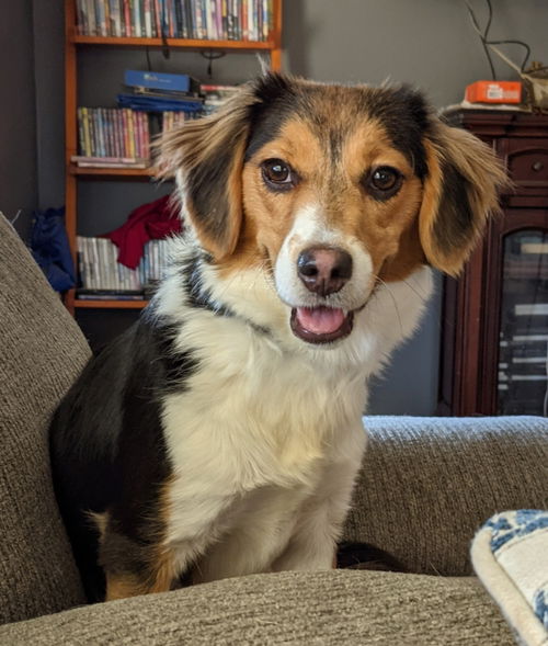 Ellie Sue