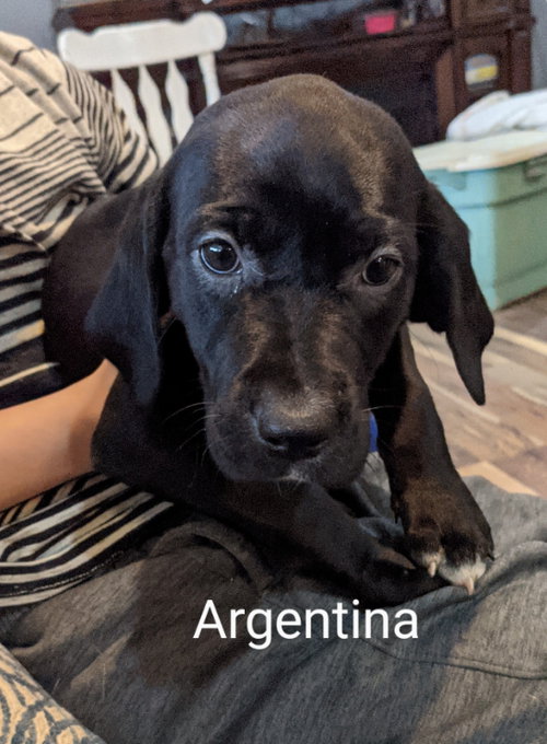 Argentina