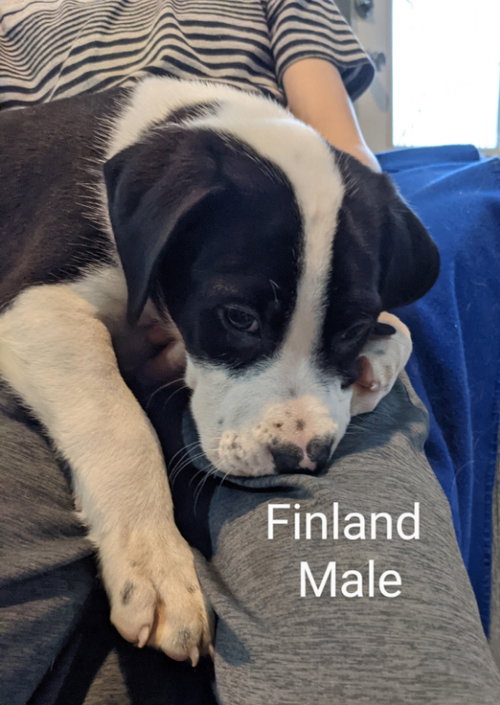 Finland