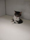 Thelma