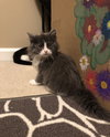 Minnie
