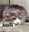 Arizona - Must Apply in Person