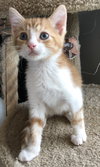 Arlo