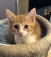 Arlo