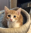 Arlo
