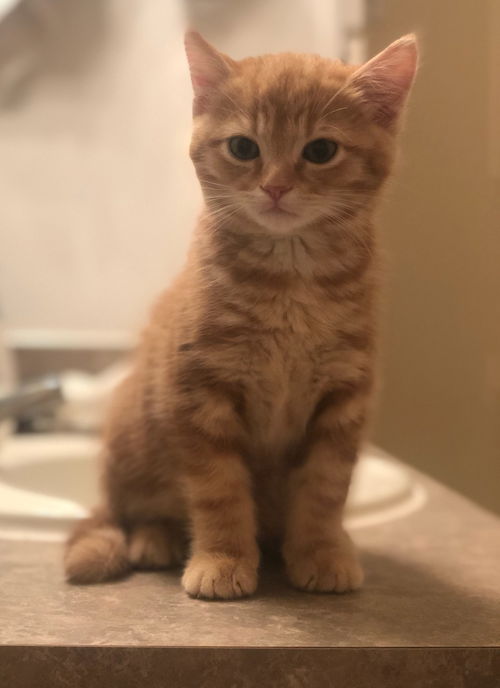 Topaz