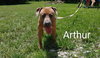 Arthur