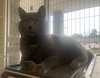 Antonio  - Must Apply in Person