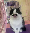 Clarise  - Must Apply in Person