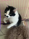 Clarise  - Must Apply in Person