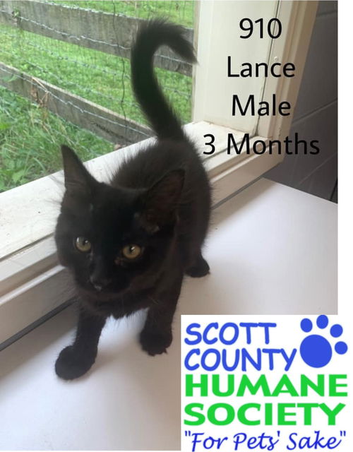 Lance