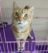 Simba - Must Apply In Person