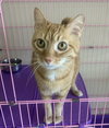 Simba - Must Apply In Person