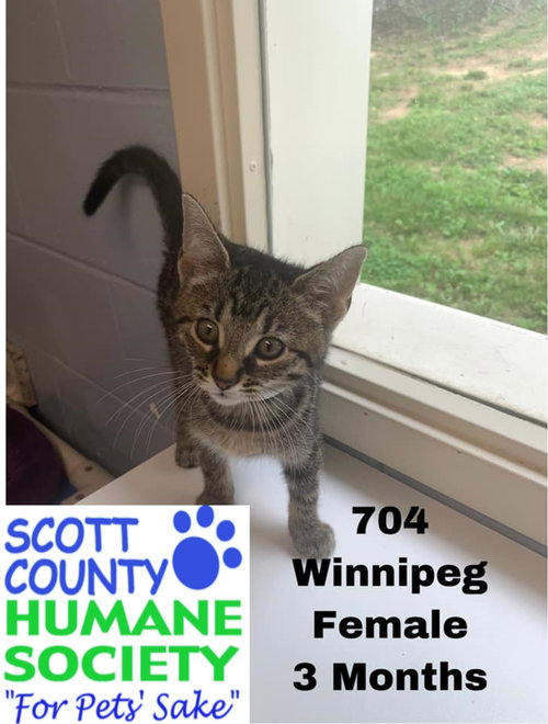 Winnipeg