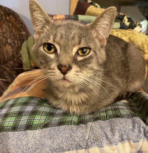 Brady  - Must Apply In Person
