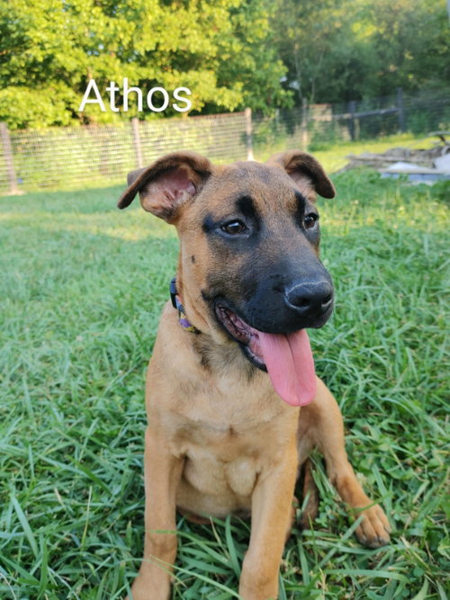 Athos