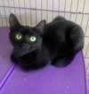 Winifred