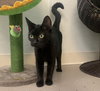 Winifred