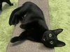 Winifred