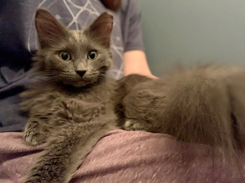 Luna