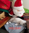 Holiday (deaf)