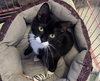 Freya- Must Apply in Person