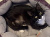 Freya- Must Apply in Person