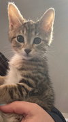 Winnie