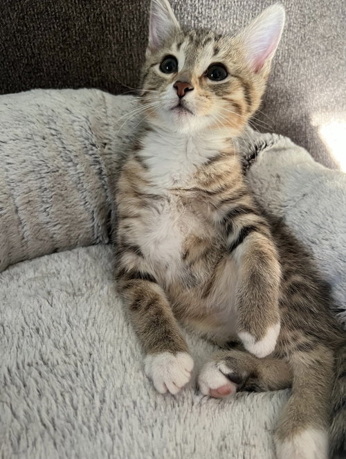 Winnie