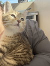 Winnie