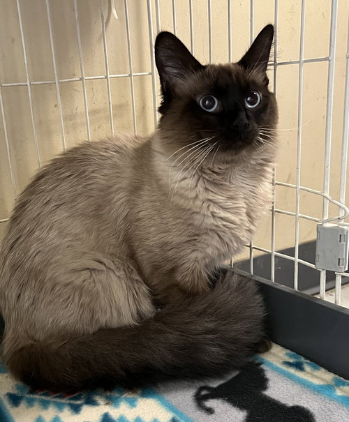 Jynx - Must Meet in Person
