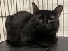 Cooper - Must Apply in Person