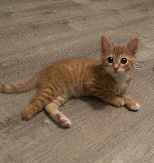 Tina