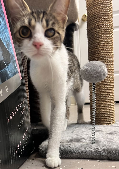 Tilly - Must apply in person