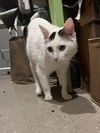 Reggie- Must apply in person