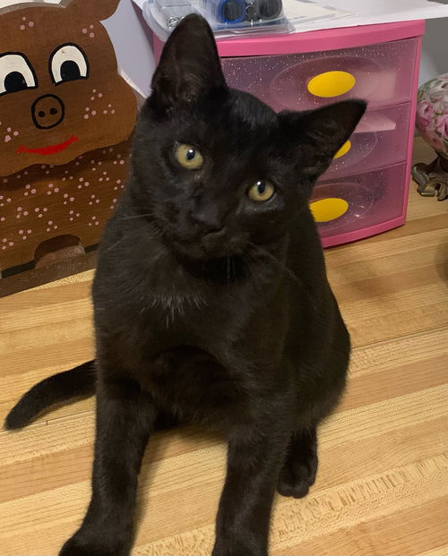 Oskar