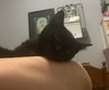 Oskar