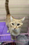 Maizy - Must Apply in Person