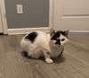 Penny